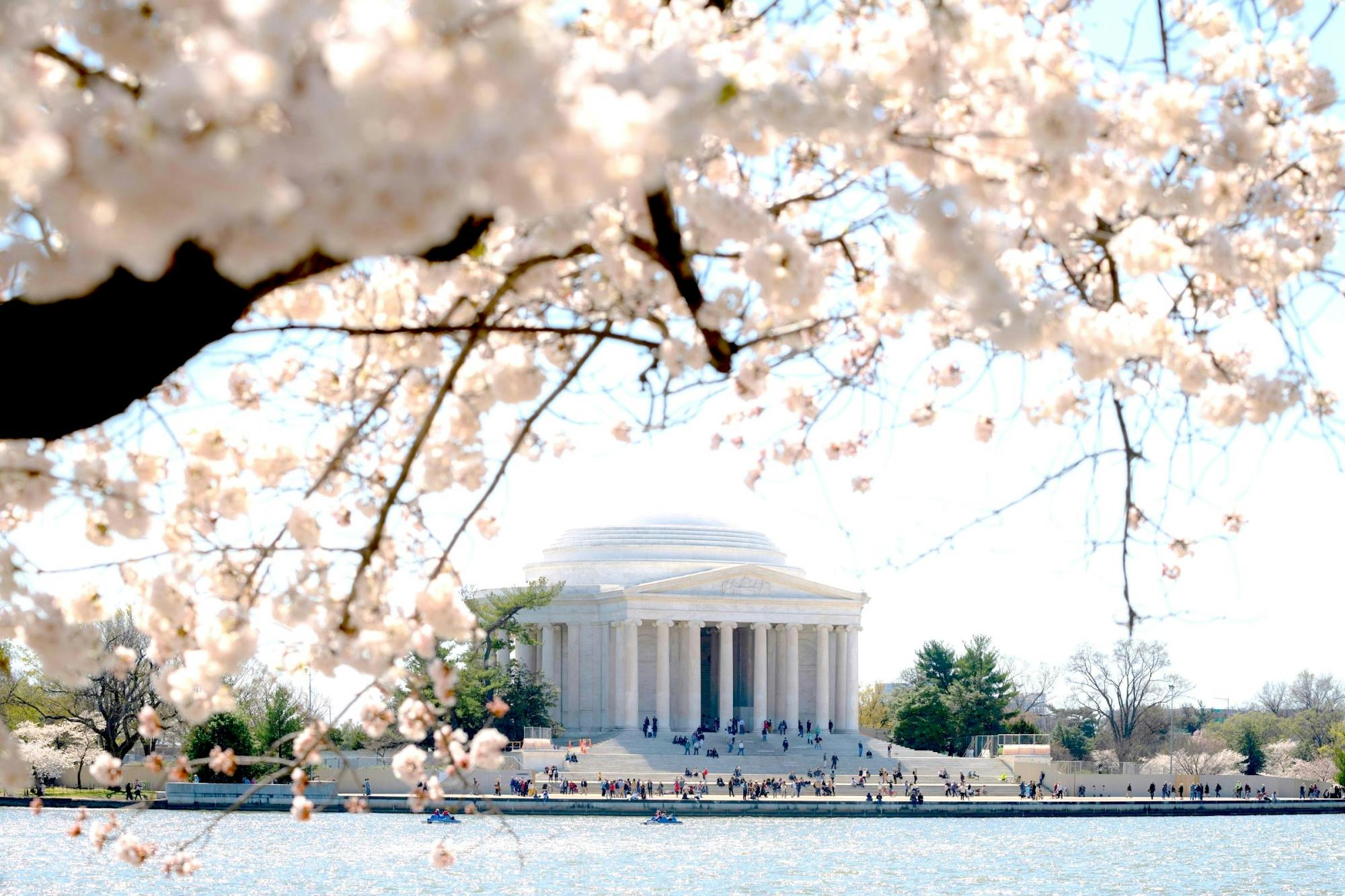 Tour zur National Mall und zu den Denkmälern mit 10 Stopps und Kirschblüten