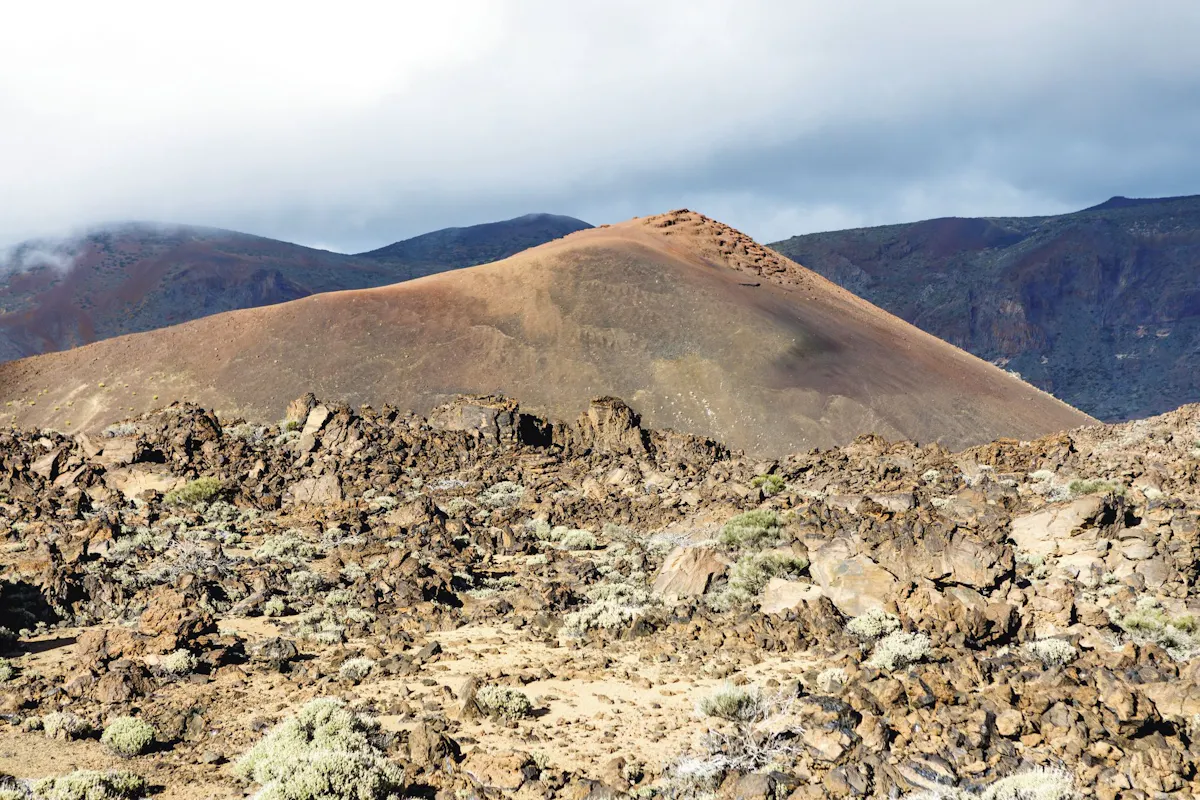 Teide National Park tour with expert local guide