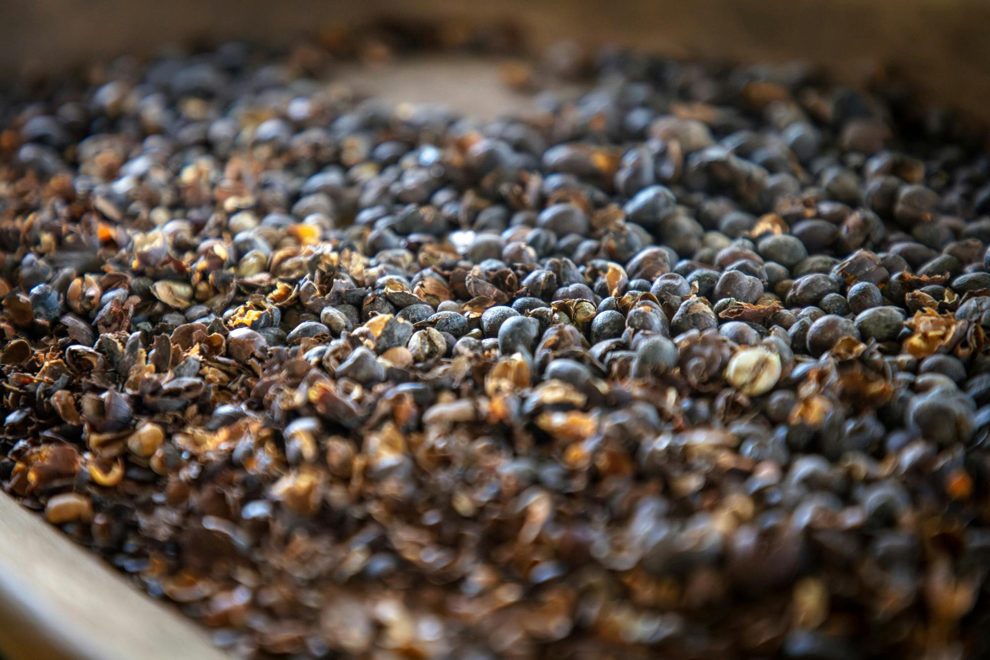 Higuey and River Yuma full-day tour with lunch and Voodoo show