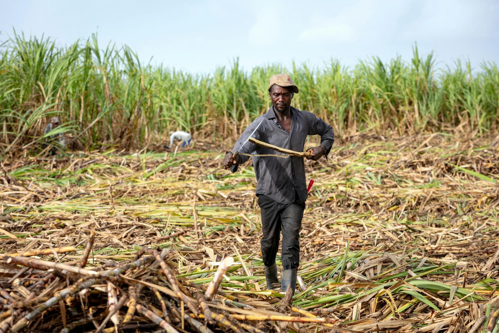 Higuey and River Yuma full-day tour with lunch and Voodoo show