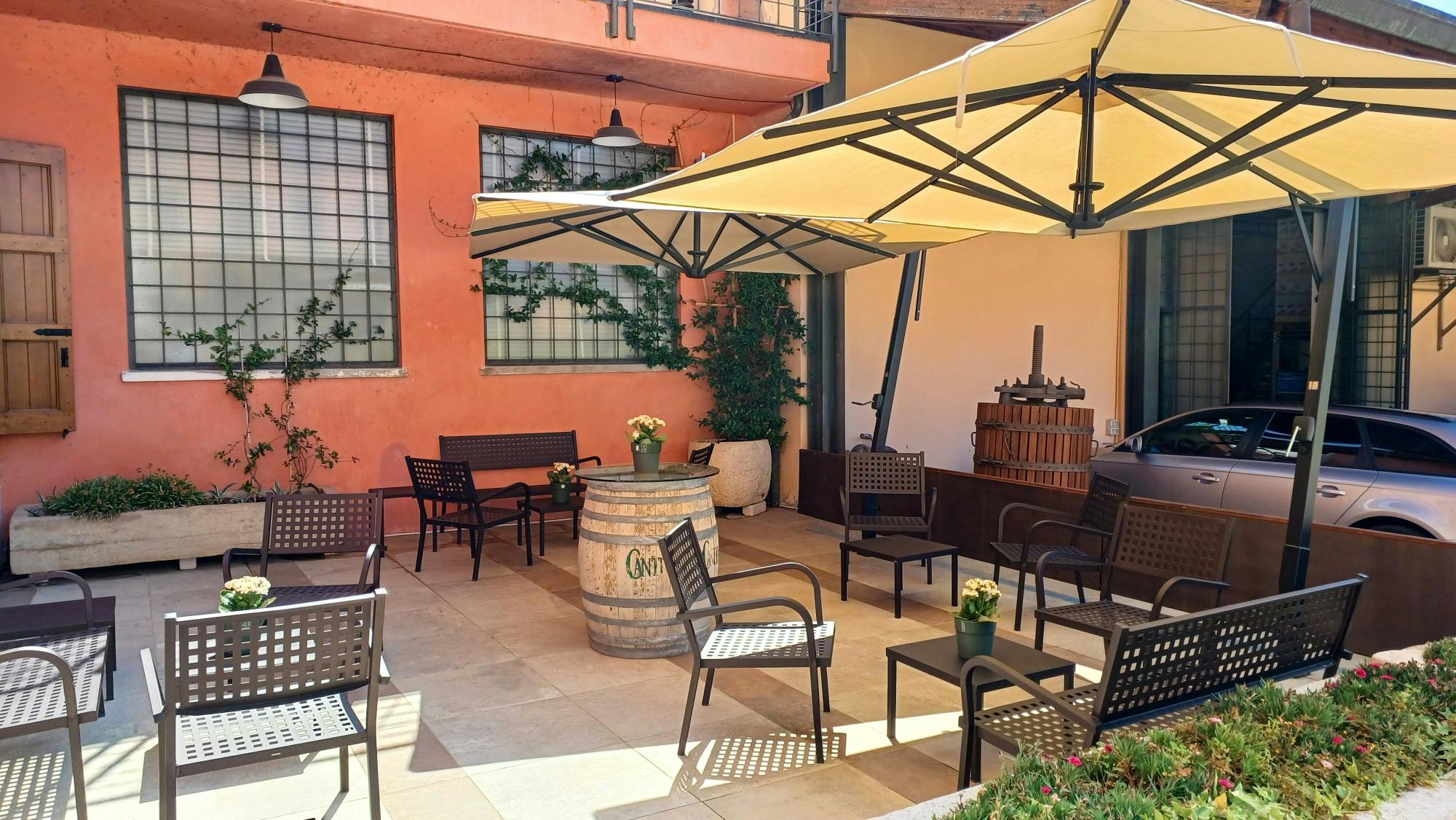 Classic Italian wine-tasting tour of Soave and Valpolicella