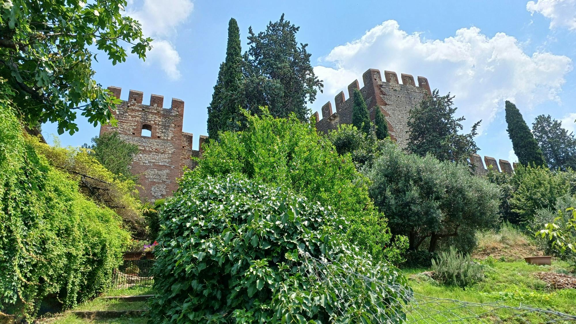 Classic Italian wine-tasting tour of Soave and Valpolicella