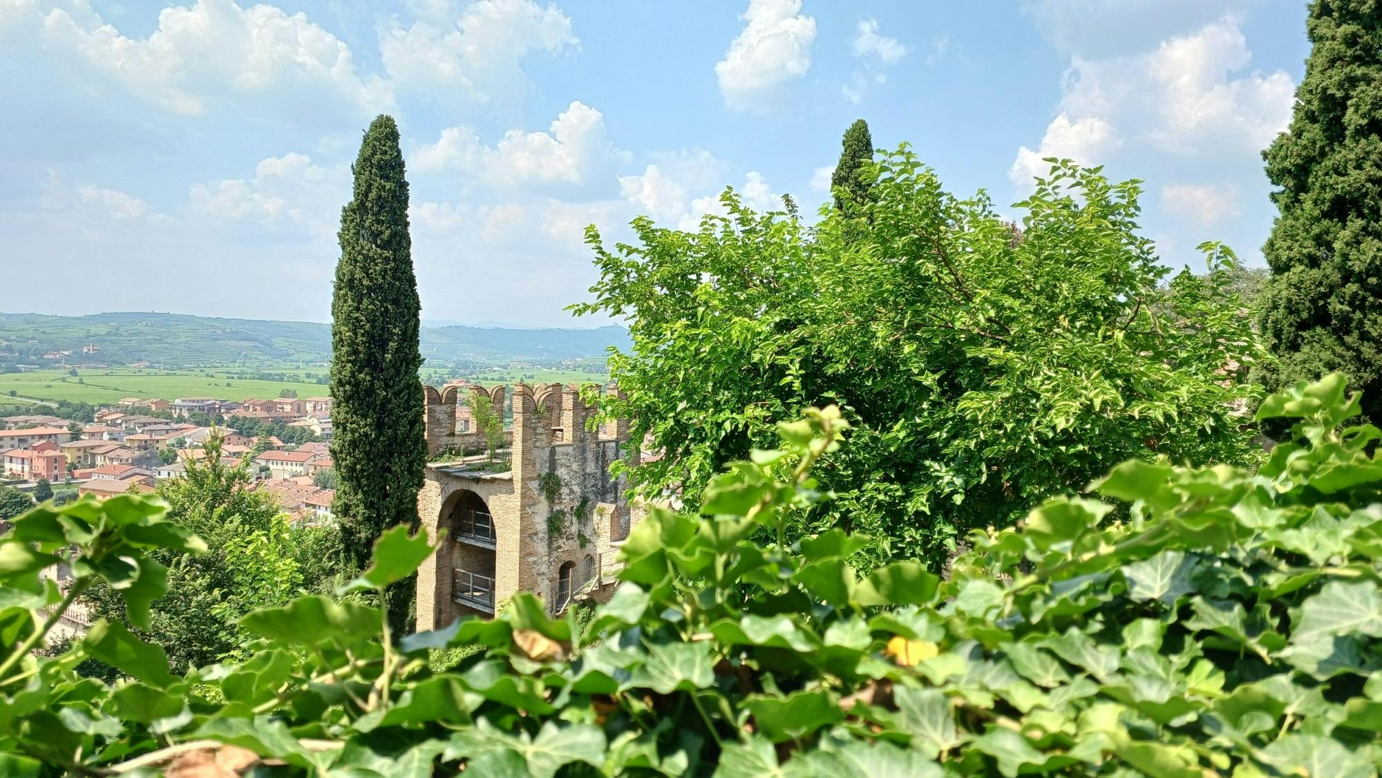 Classic Italian wine-tasting tour of Soave and Valpolicella