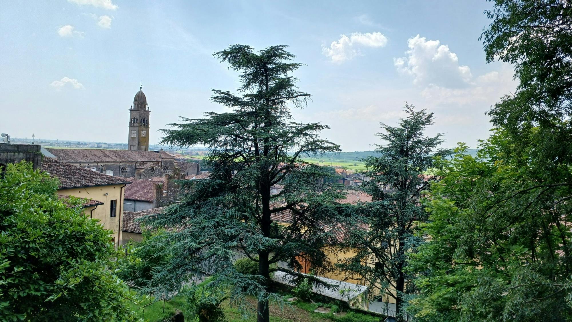 Classic Italian wine-tasting tour of Soave and Valpolicella