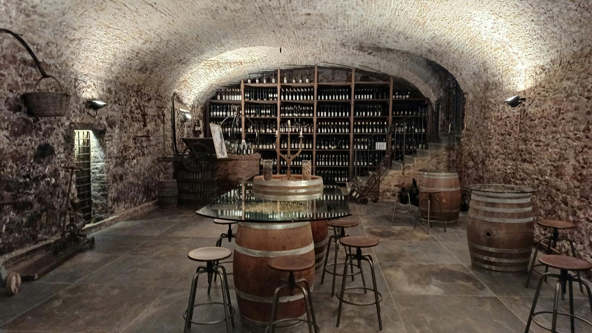 Classic Italian wine-tasting tour of Soave and Valpolicella