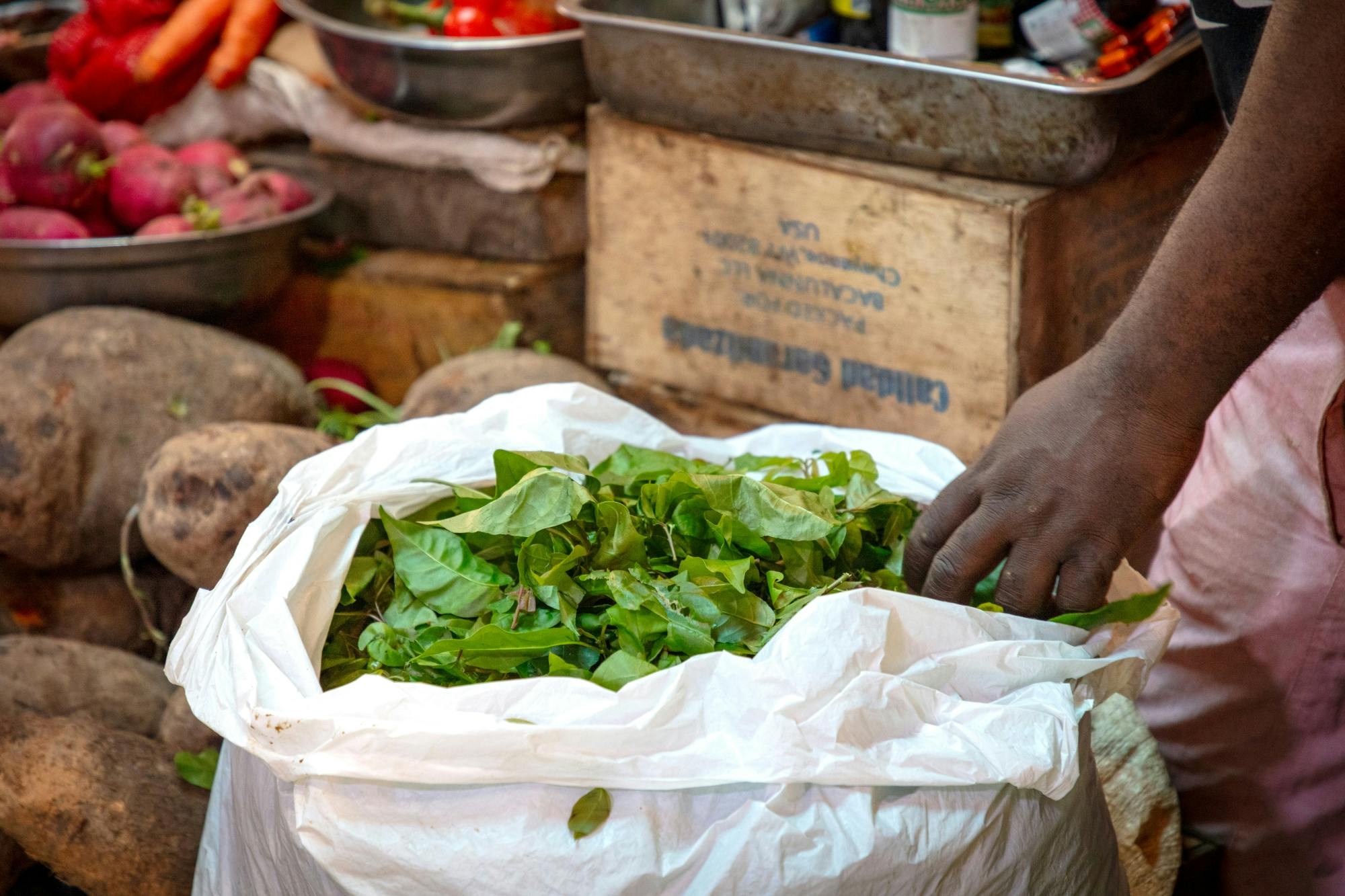 Higuey and River Yuma full-day tour with lunch and Voodoo show