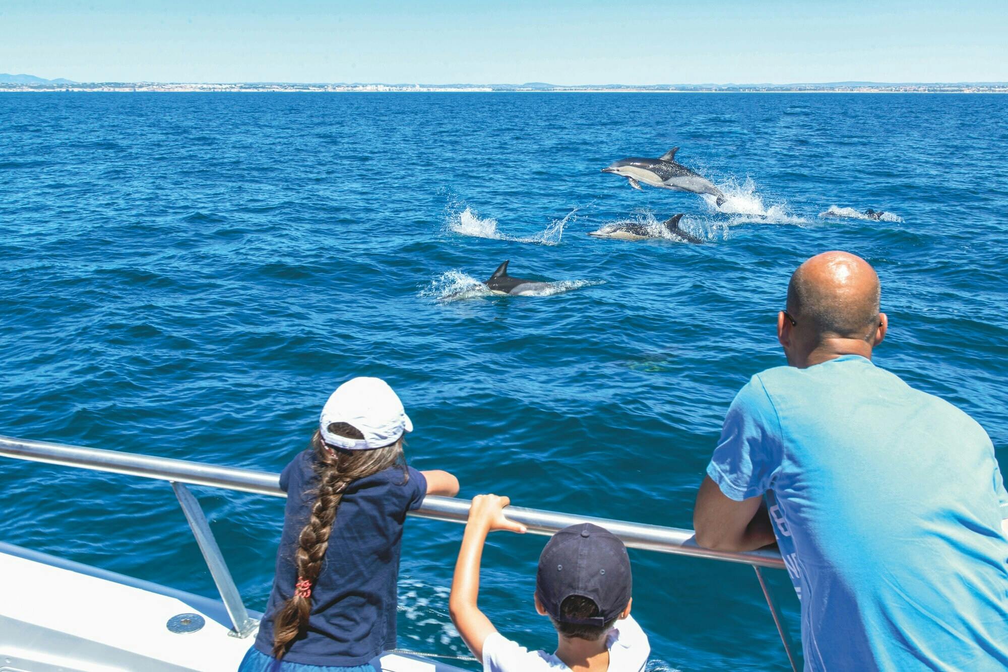 Algarve dolphin cruise with a marine biologist and Benagil Cave visit