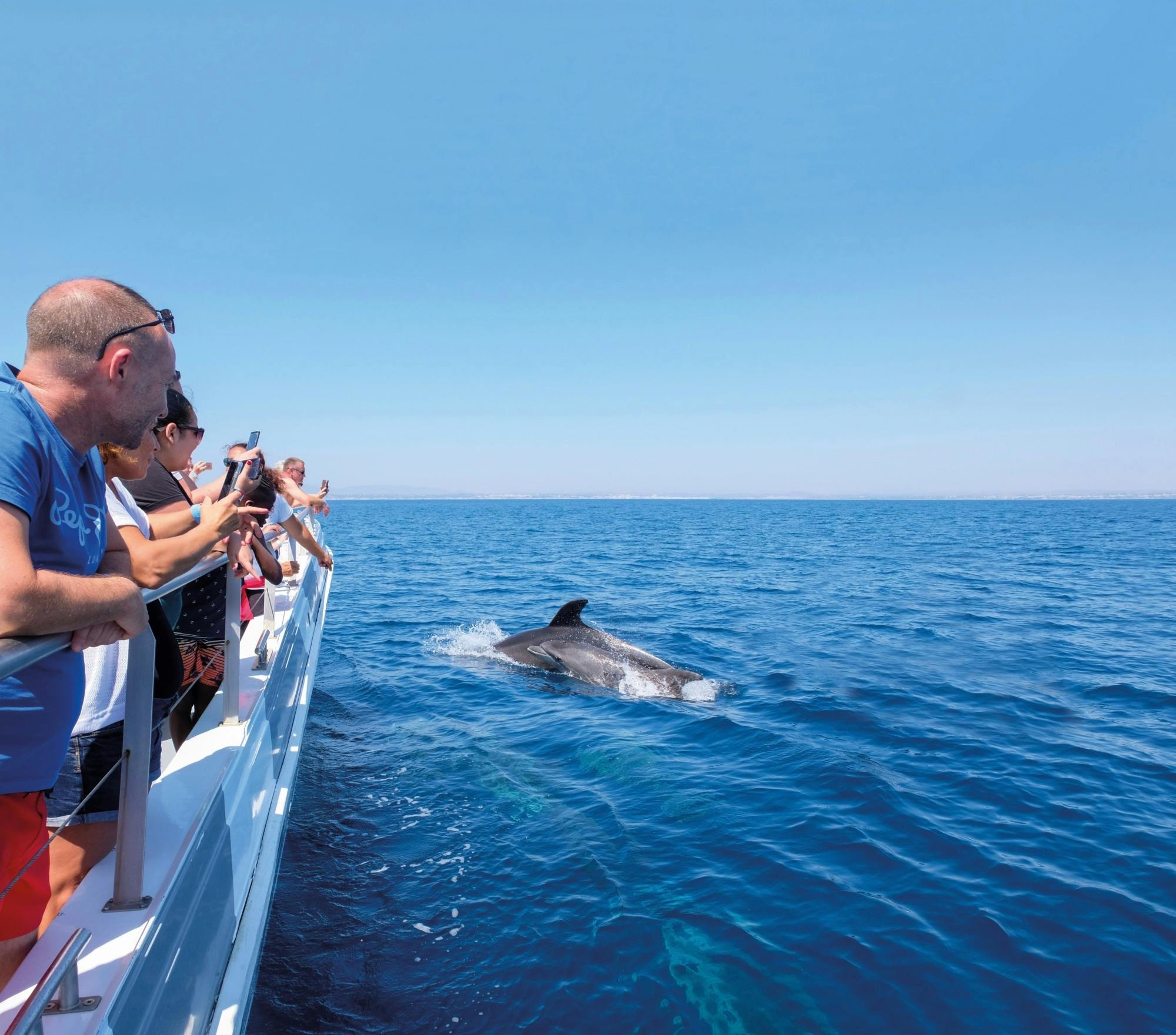 Algarve dolphin cruise with a marine biologist and Benagil Cave visit