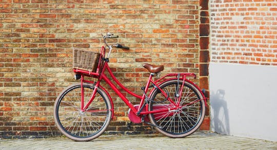 Guided retro bike tour to the hidden gems of Bruges