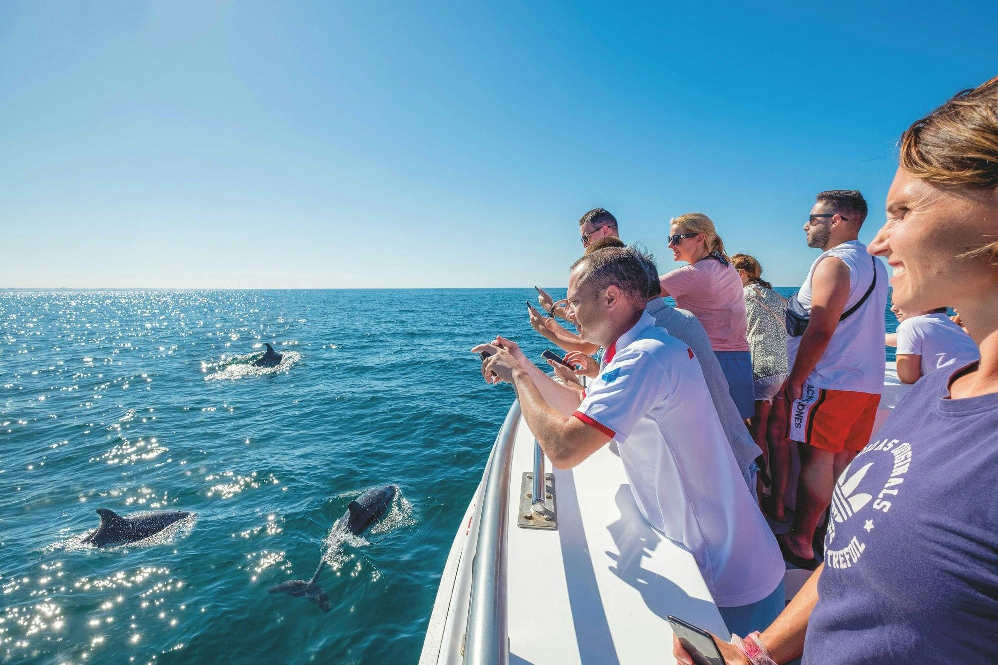 Algarve dolphin cruise with a marine biologist and Benagil Cave visit