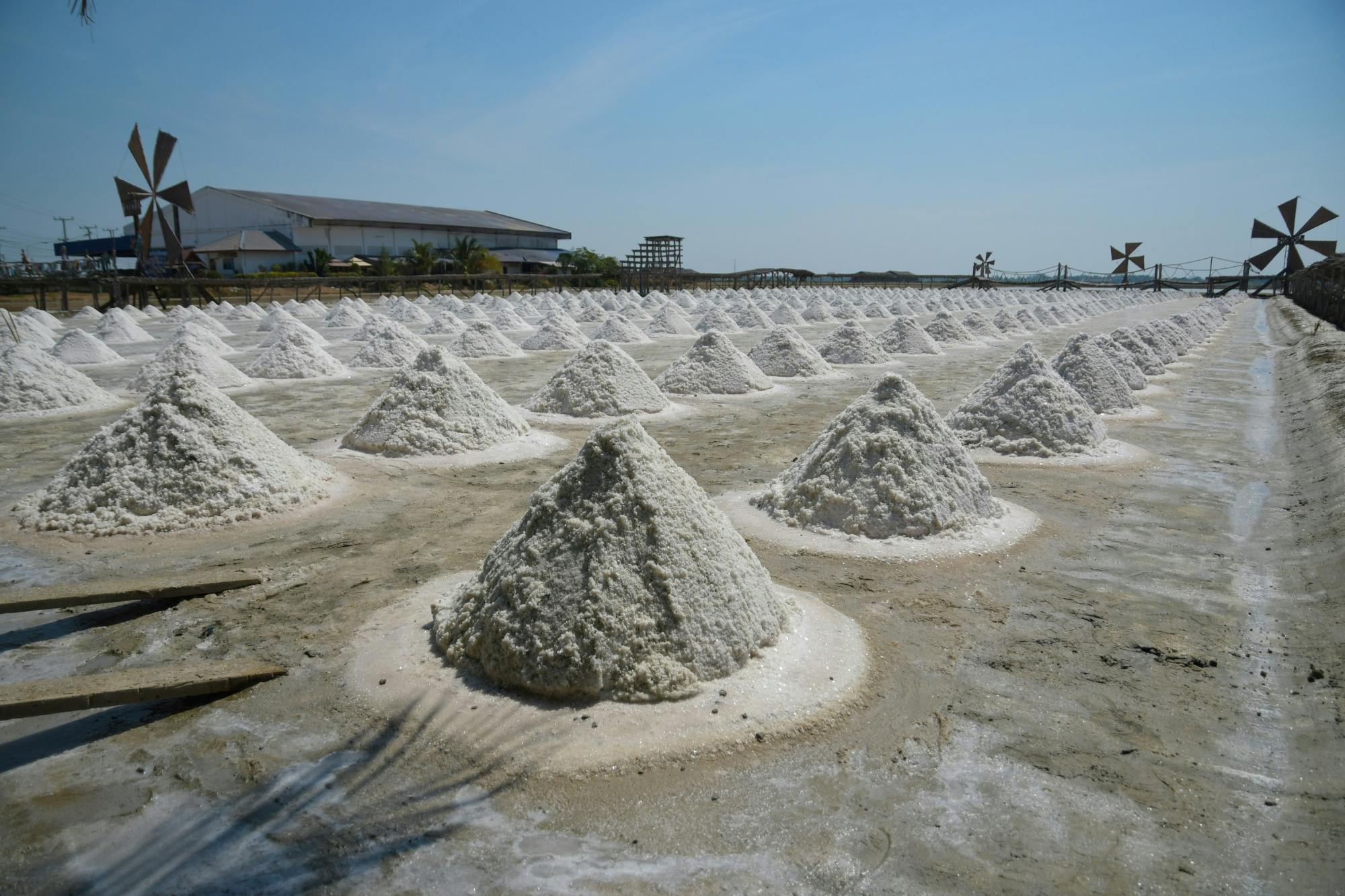 Railway Market, Floating Market, Salt Farm & Cycling Tour from Hua Hin