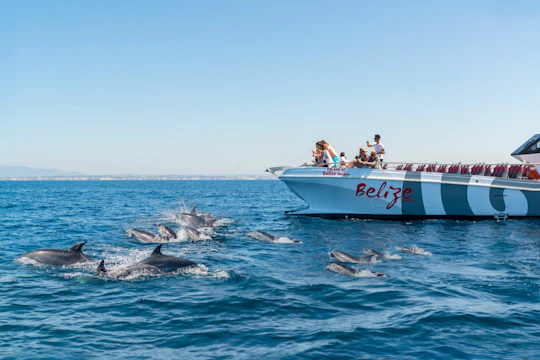 Benagil Cave and dolphin-spotting cruise ticket from Vilamoura