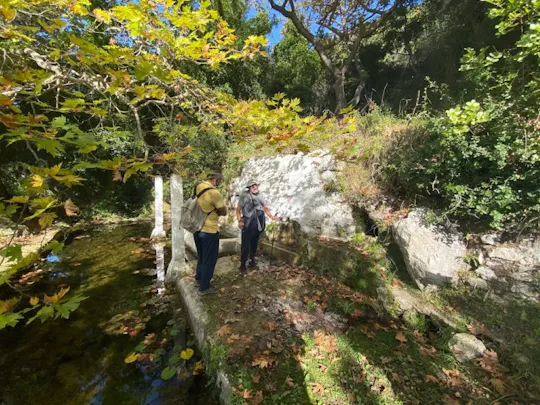 Hike on the trail of springs with olive museum visit in Lefkada
