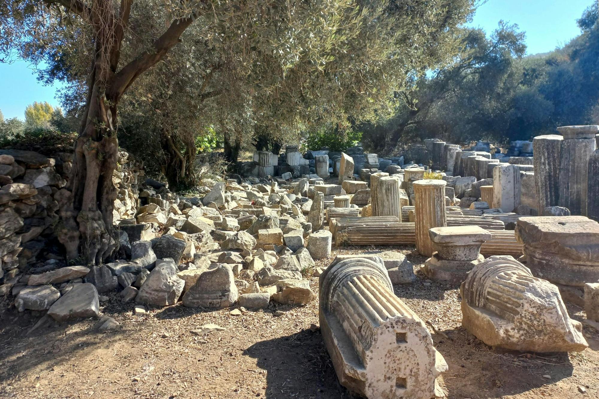 Ancient Stratonikeia and Lagina tour