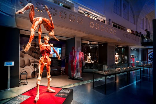 Bilety wstępu do BODY WORLDS Heidelberg