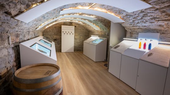 Le Petit Musée du Vin ticket with wine tasting in Lyon