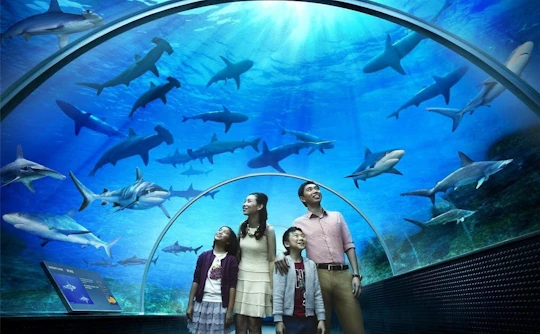 Underwater World Langkawi Entrance Ticket