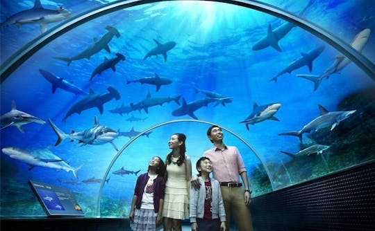 Billet d'entrée pour le monde sous-marin de Langkawi