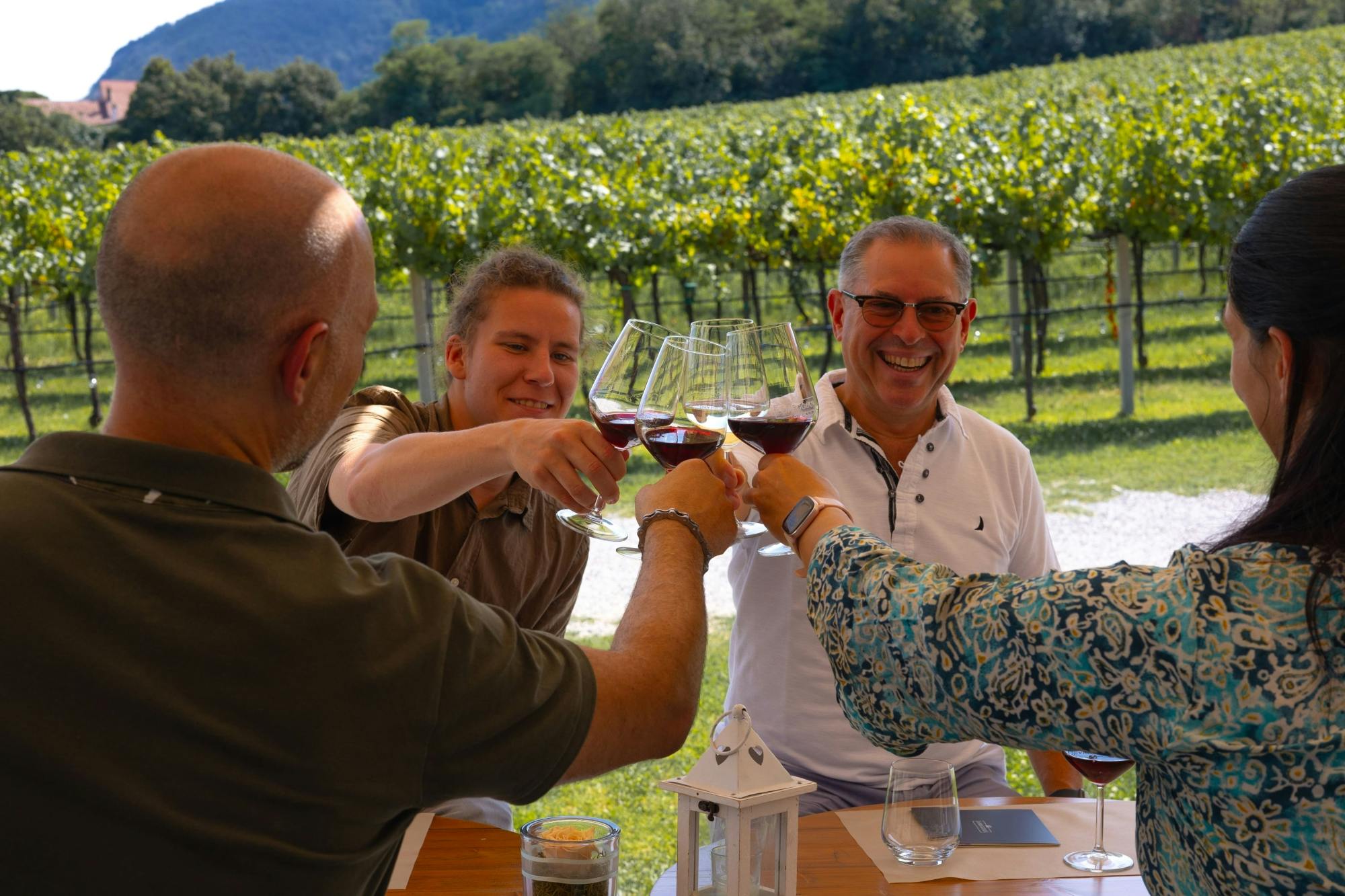 Von Venedig aus, Weintour in den Euganeischen Hügeln