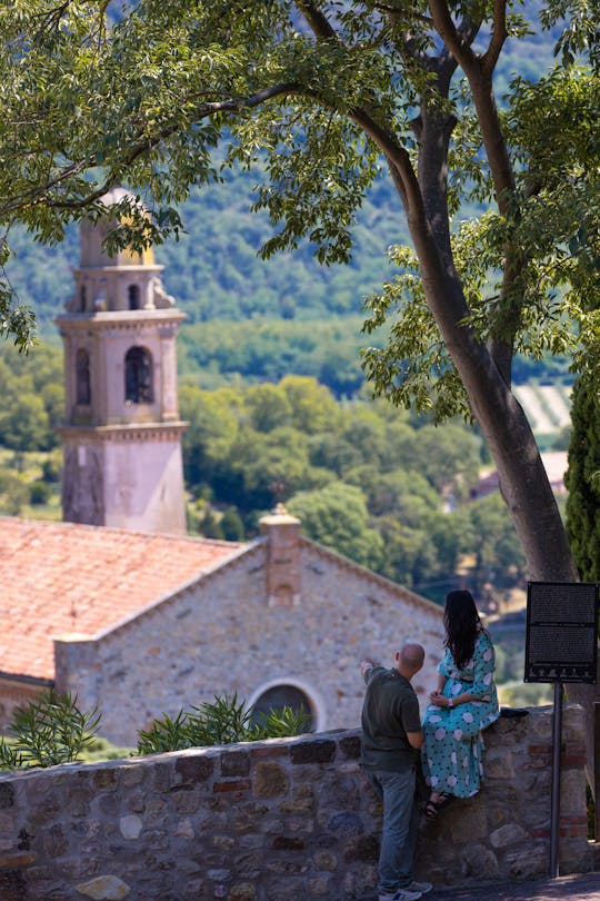 Visita guiada al pueblo medieval de Arquà Petrarca desde Padua - 