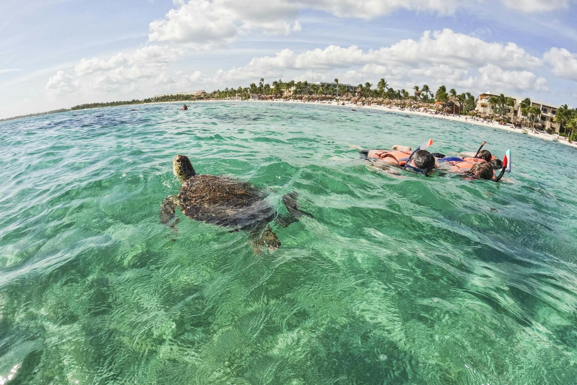 Tulum and Akumal full-day tour with Mayan ruins and snorkelling