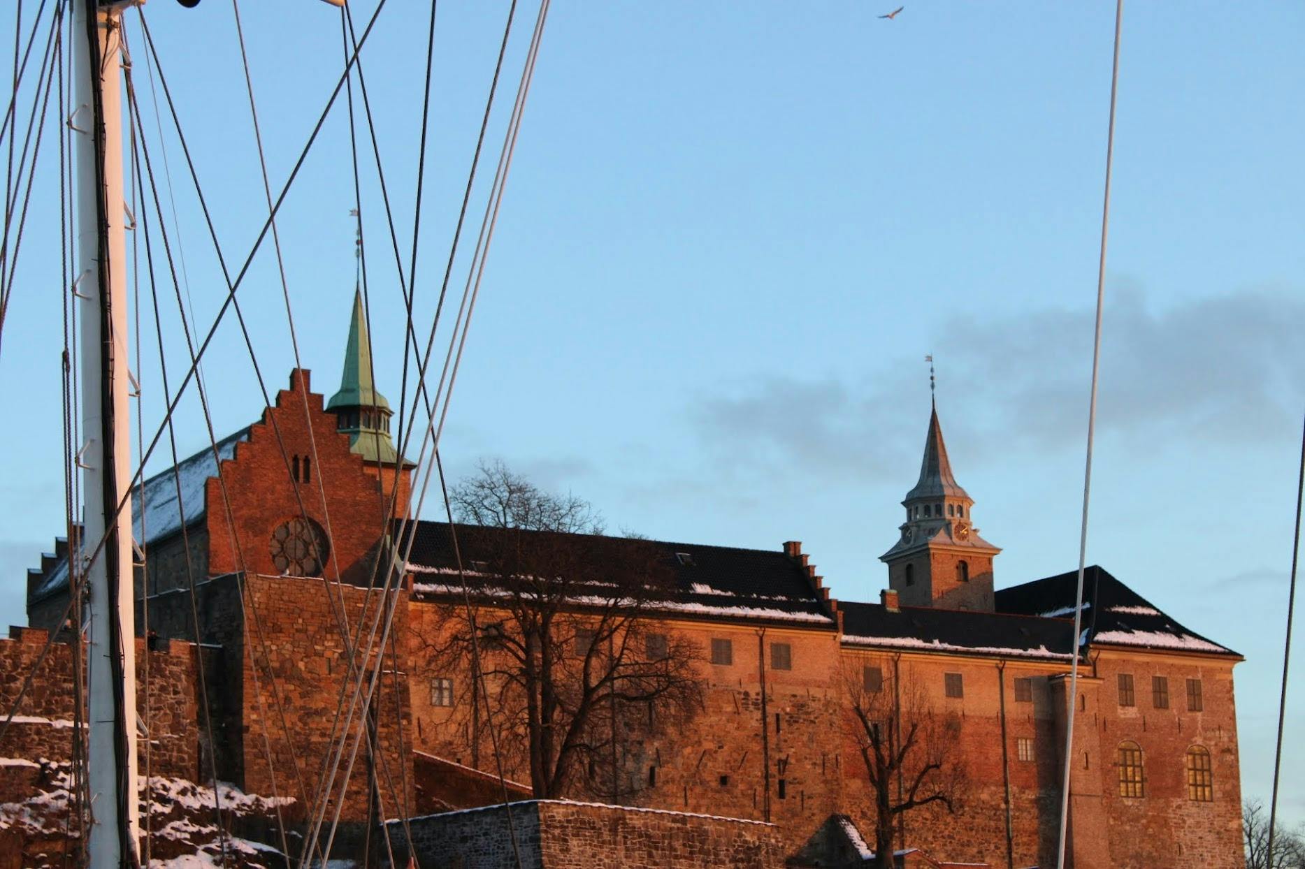 Vom Fjord zum Palast - geführte Tour in Oslo