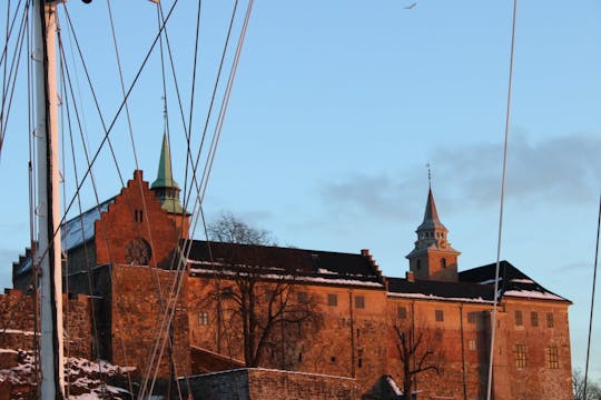 Del fiordo al palacio: visita guiada por Oslo