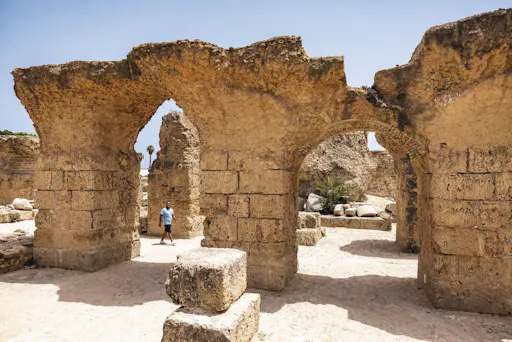 Ancient Carthage and Sidi Bou Said tour with lunch