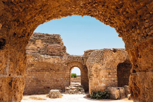 Ancient Carthage and Sidi Bou Said tour with lunch