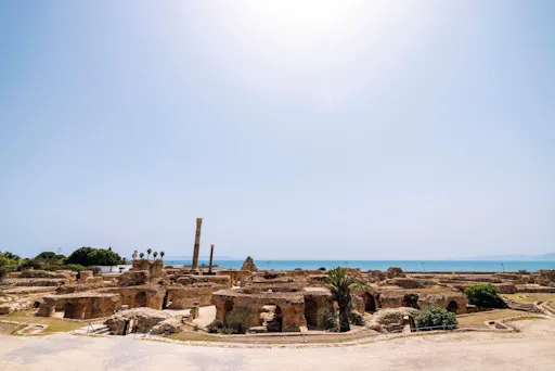 Ancient Carthage and Sidi Bou Said tour with lunch