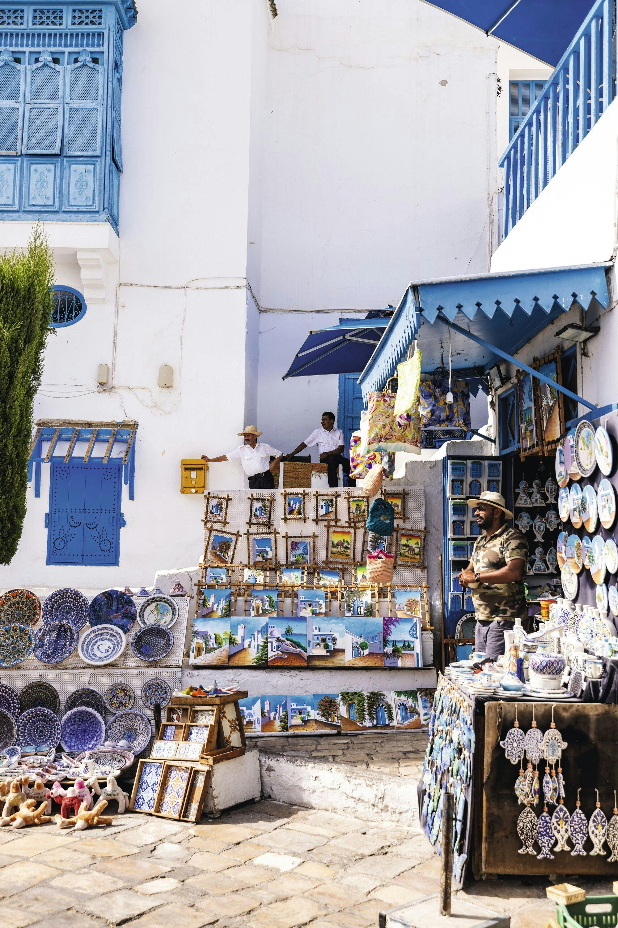 Ancient Carthage and Sidi Bou Said tour with lunch