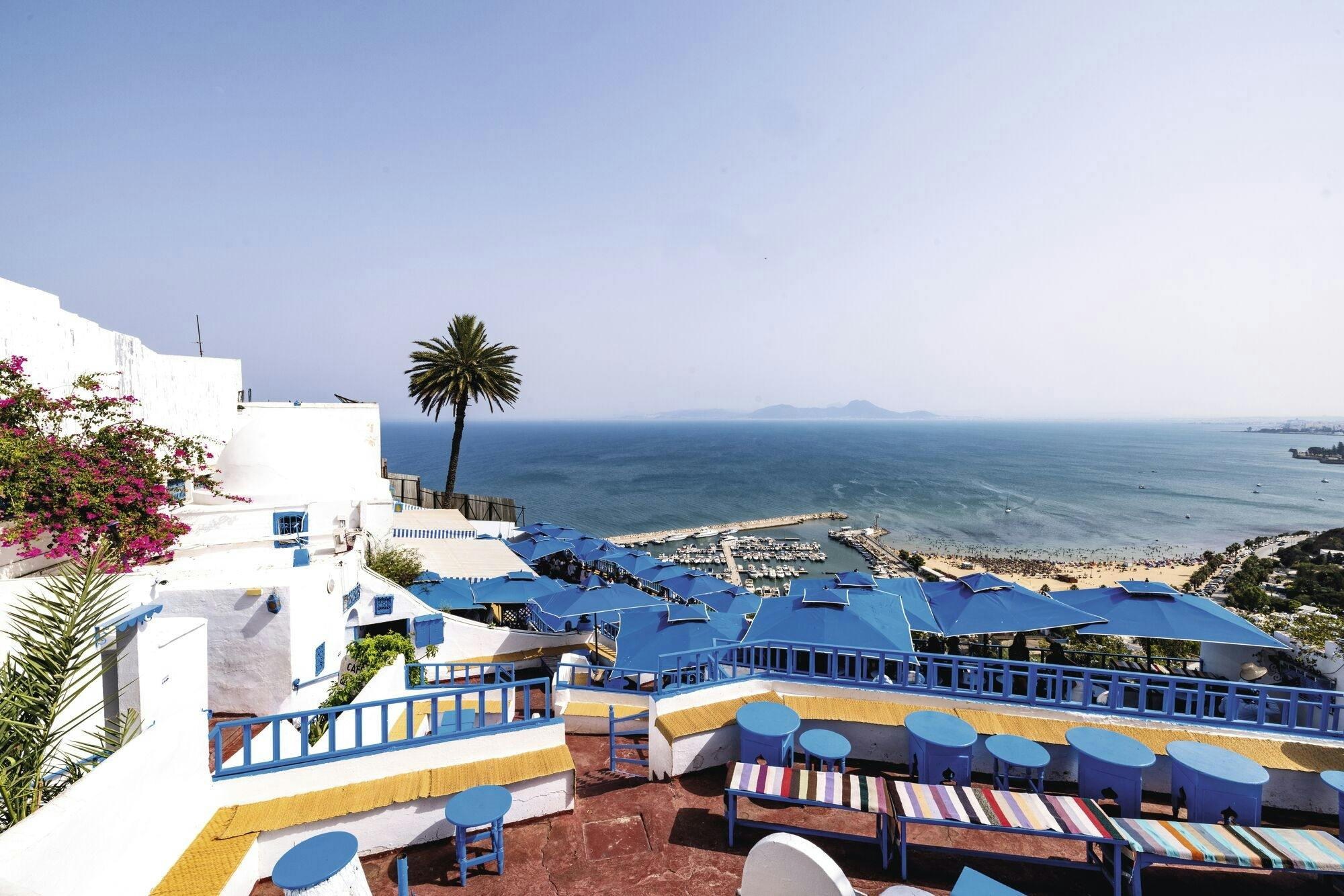 Ancient Carthage and Sidi Bou Said tour with lunch