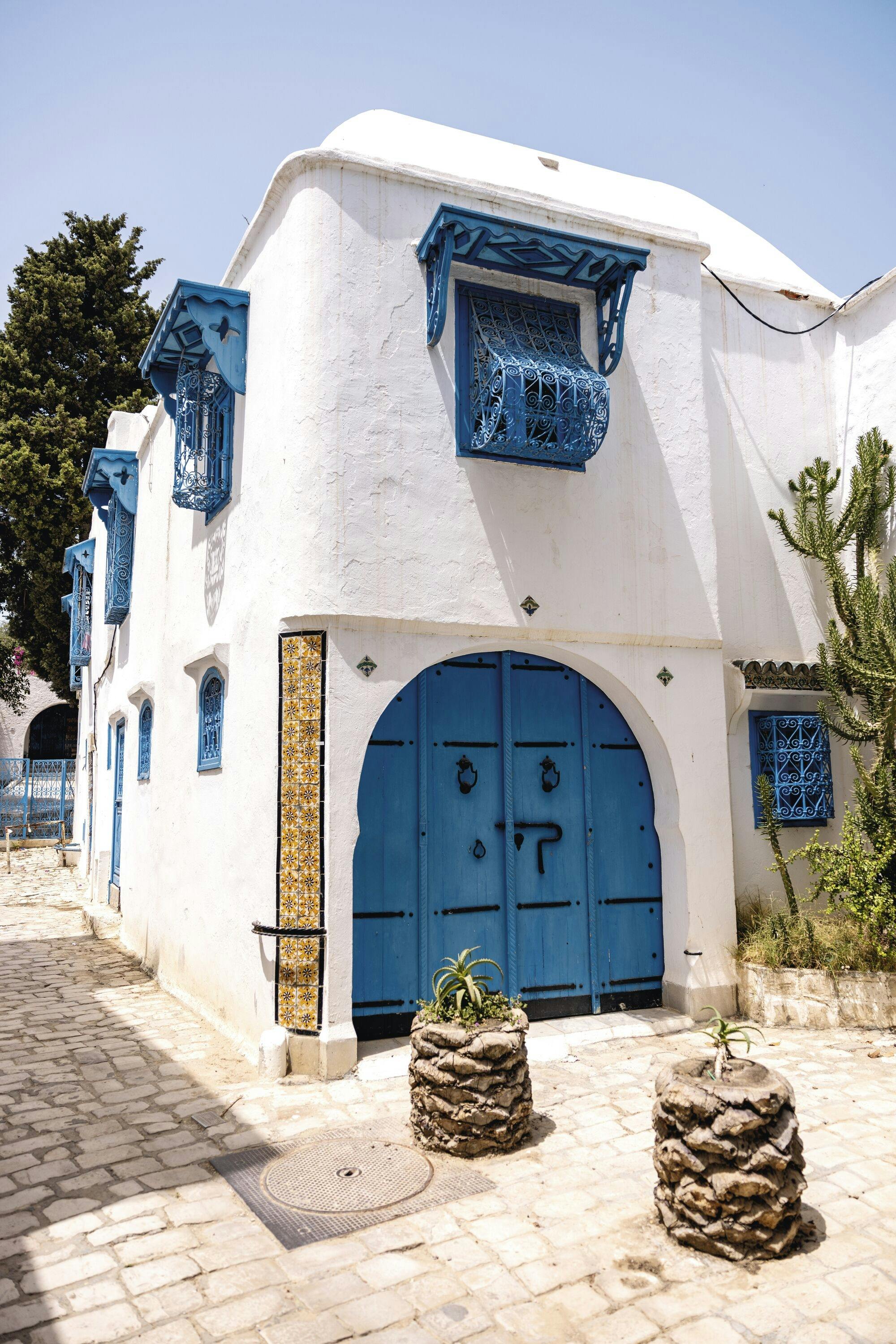 Ancient Carthage and Sidi Bou Said tour with lunch