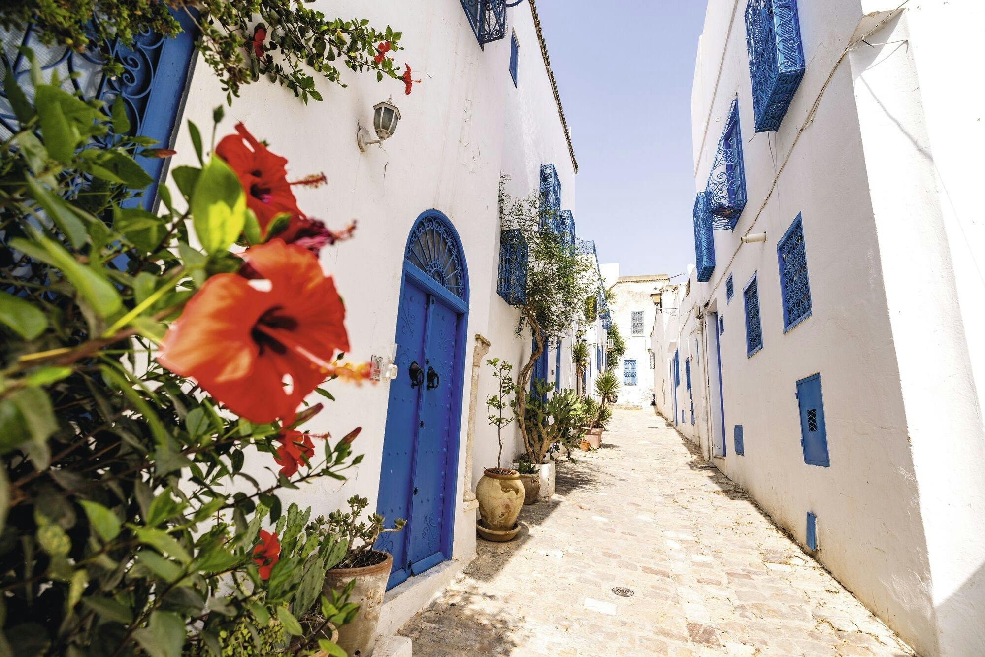 Ancient Carthage and Sidi Bou Said tour with lunch