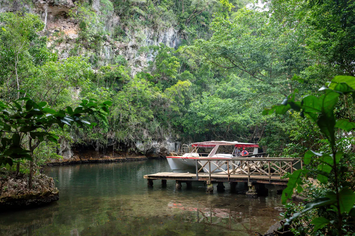Los Haitises National Park full-day tour with beachside lunch