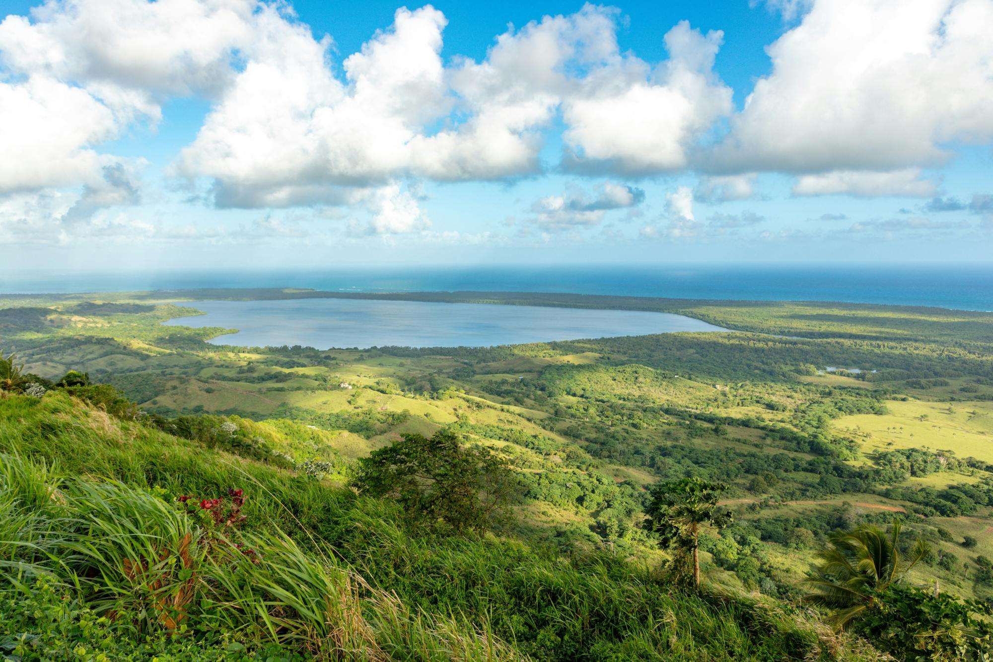 Los Haitises National Park full-day tour with beachside lunch