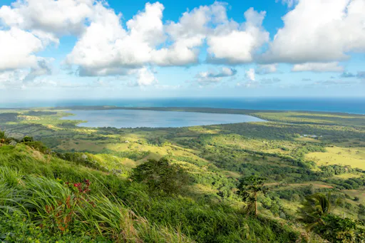 Los Haitises National Park full-day tour with beachside lunch