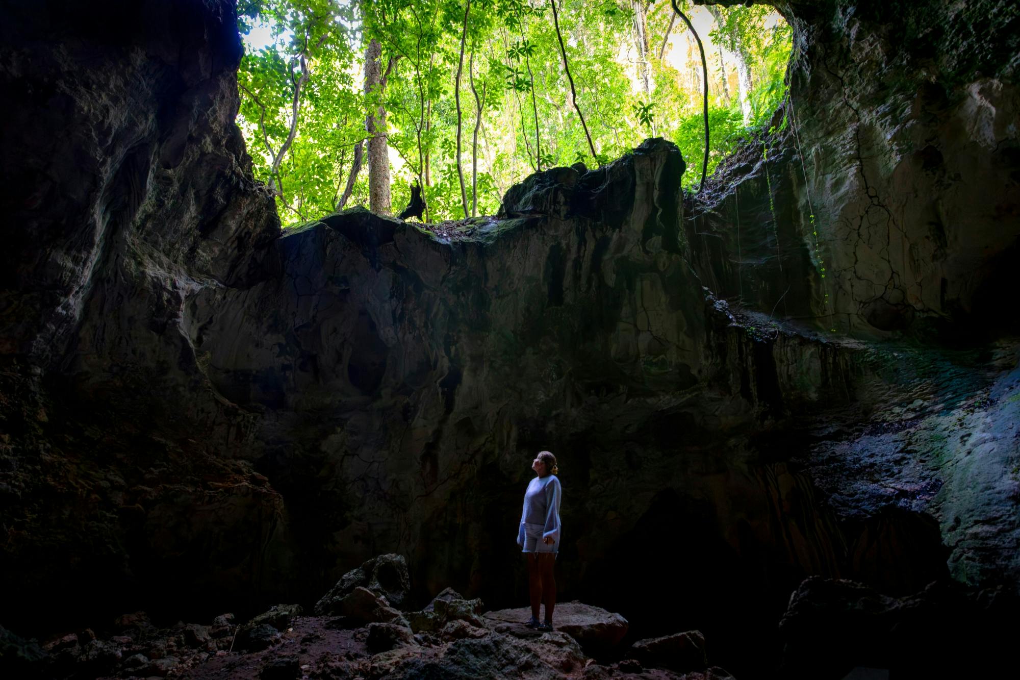 Los Haitises National Park full-day tour with beachside lunch
