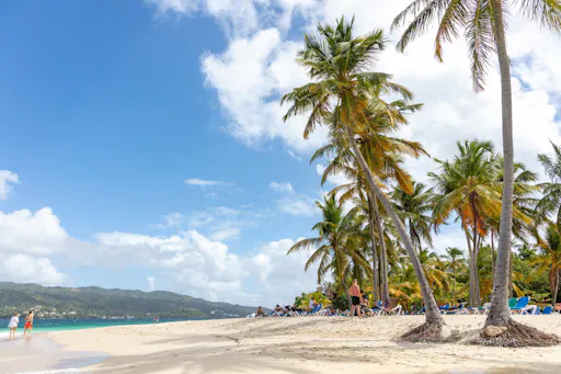 Los Haitises National Park full-day tour with beachside lunch