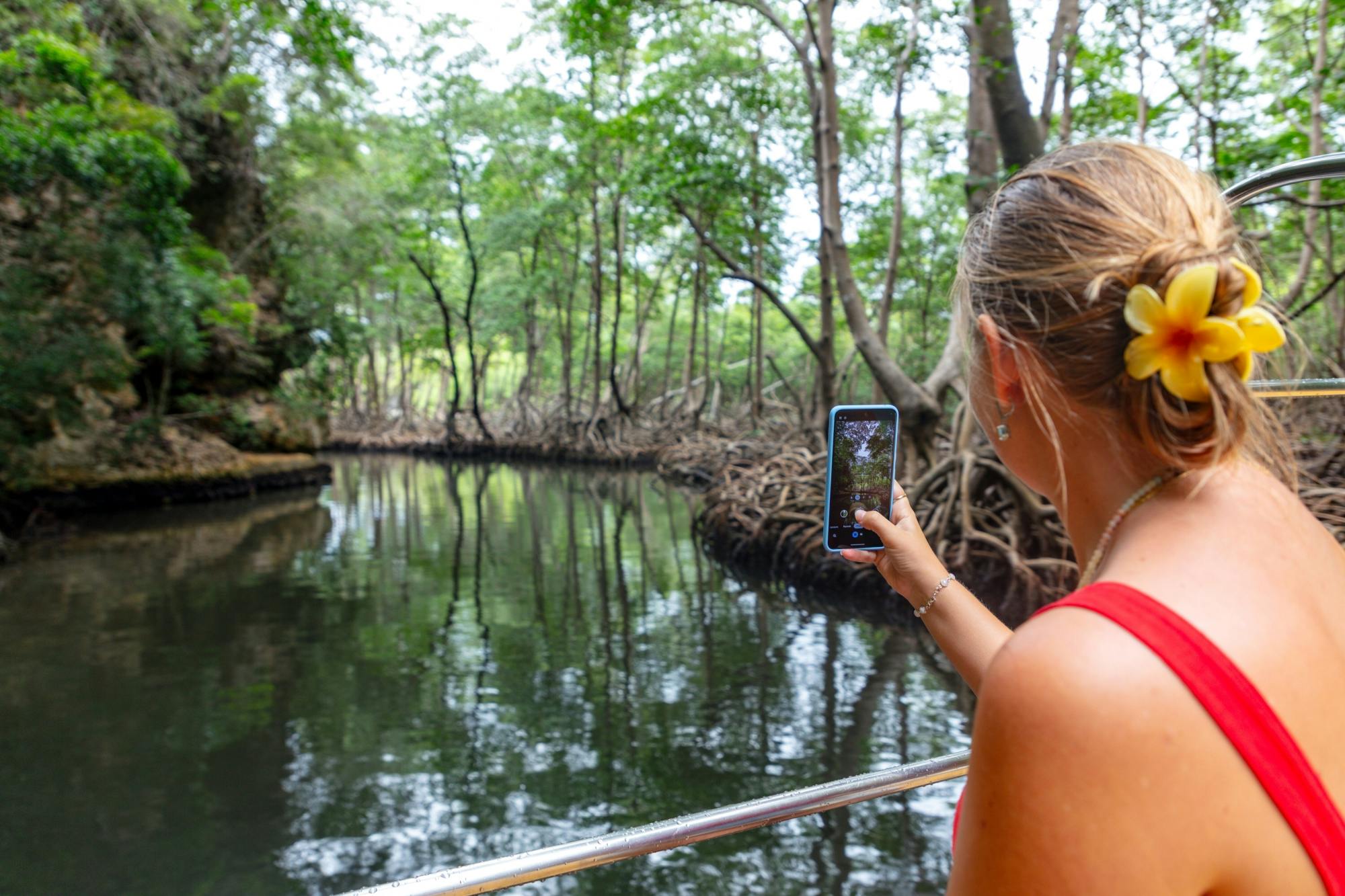 Los Haitises National Park full-day tour with beachside lunch
