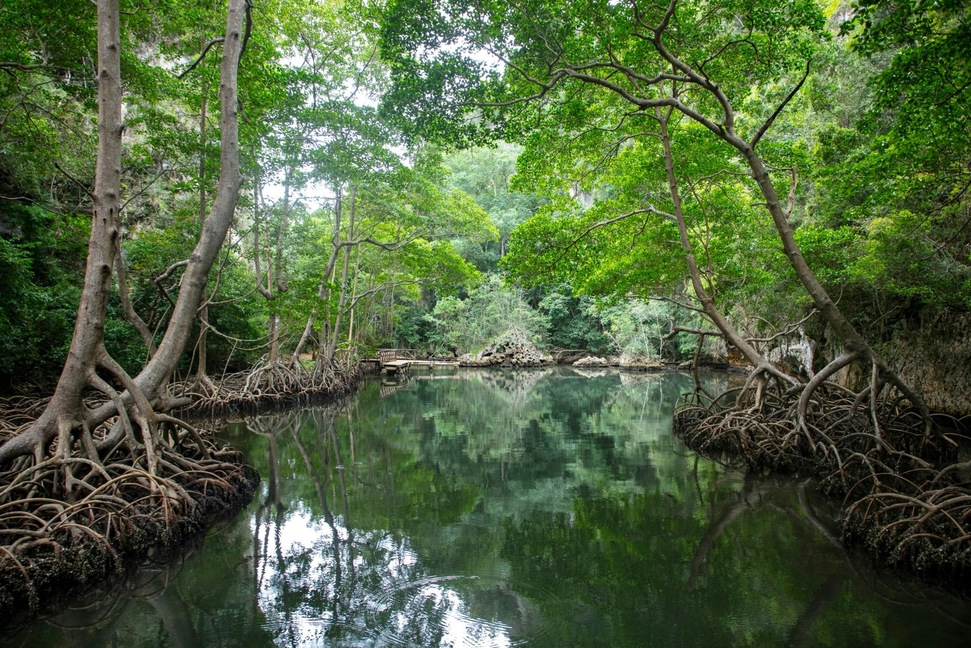 Los Haitises National Park full-day tour with beachside lunch