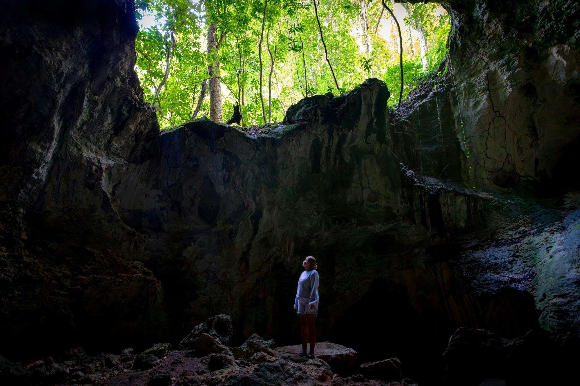 Los Haitises National Park full-day tour with beachside lunch