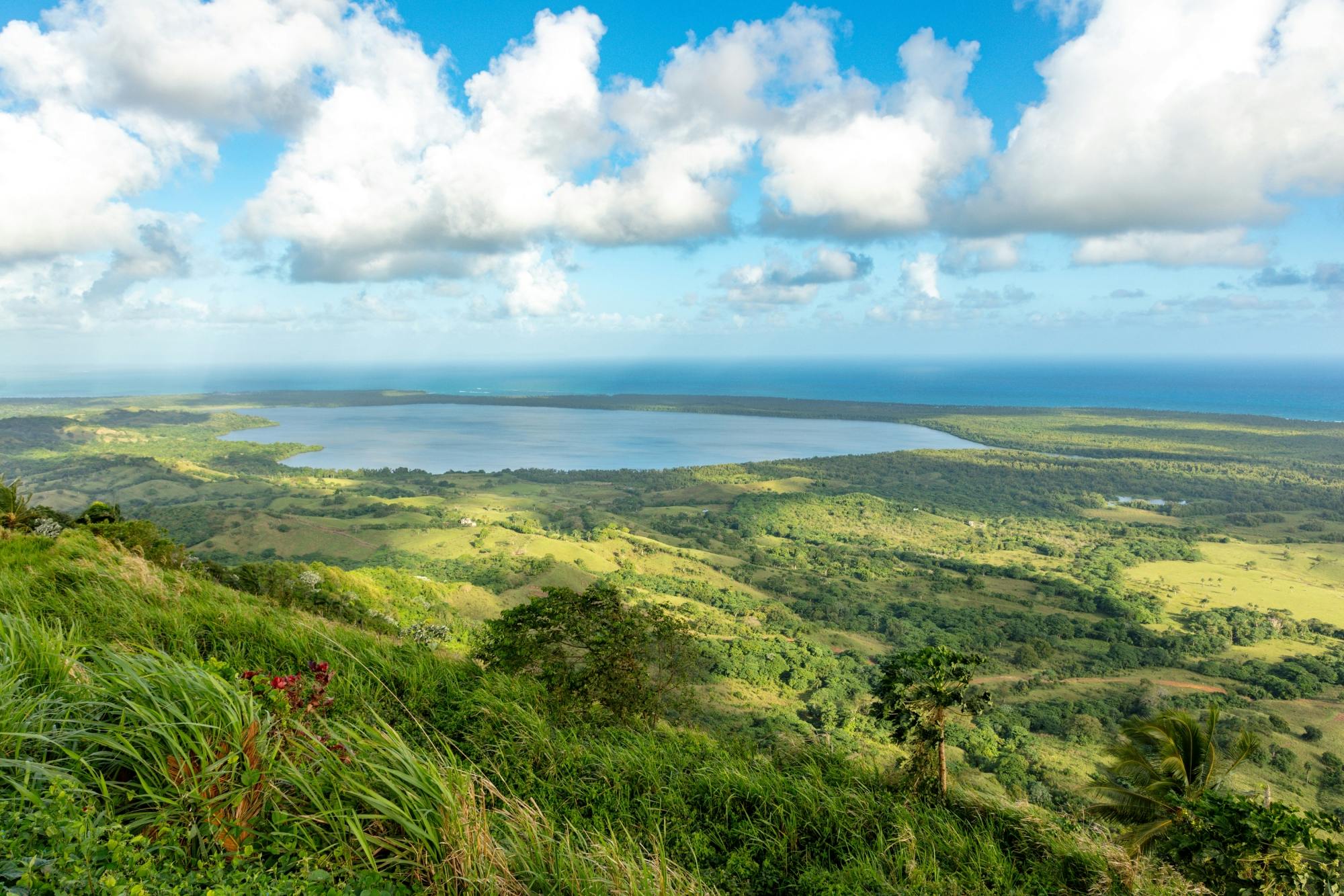 Los Haitises National Park full-day tour with beachside lunch