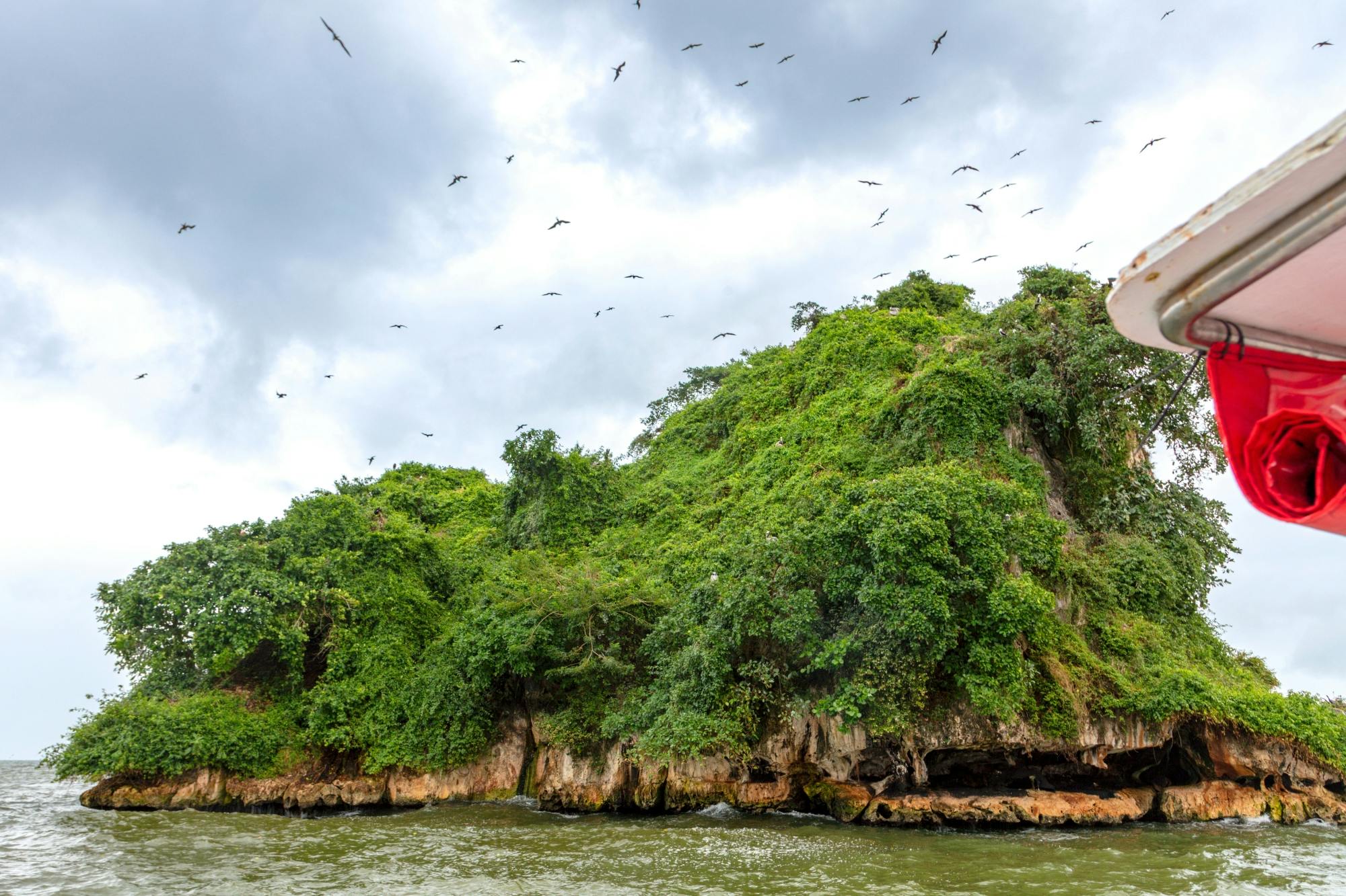 Los Haitises National Park full-day tour with beachside lunch