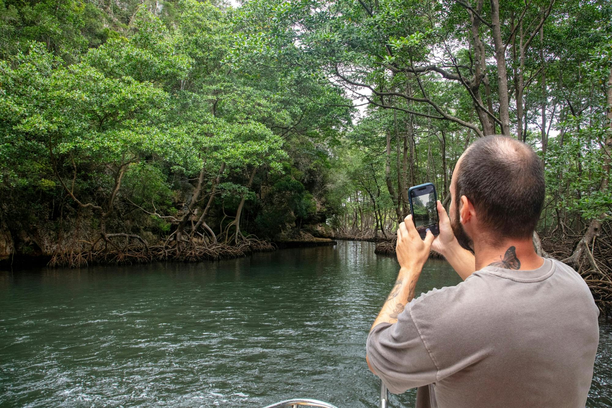Los Haitises National Park full-day tour with beachside lunch