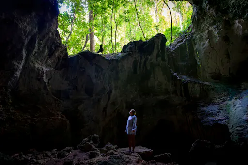 Los Haitises National Park full-day tour with beachside lunch