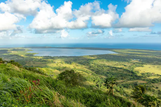 Los Haitises National Park full-day tour with beachside lunch