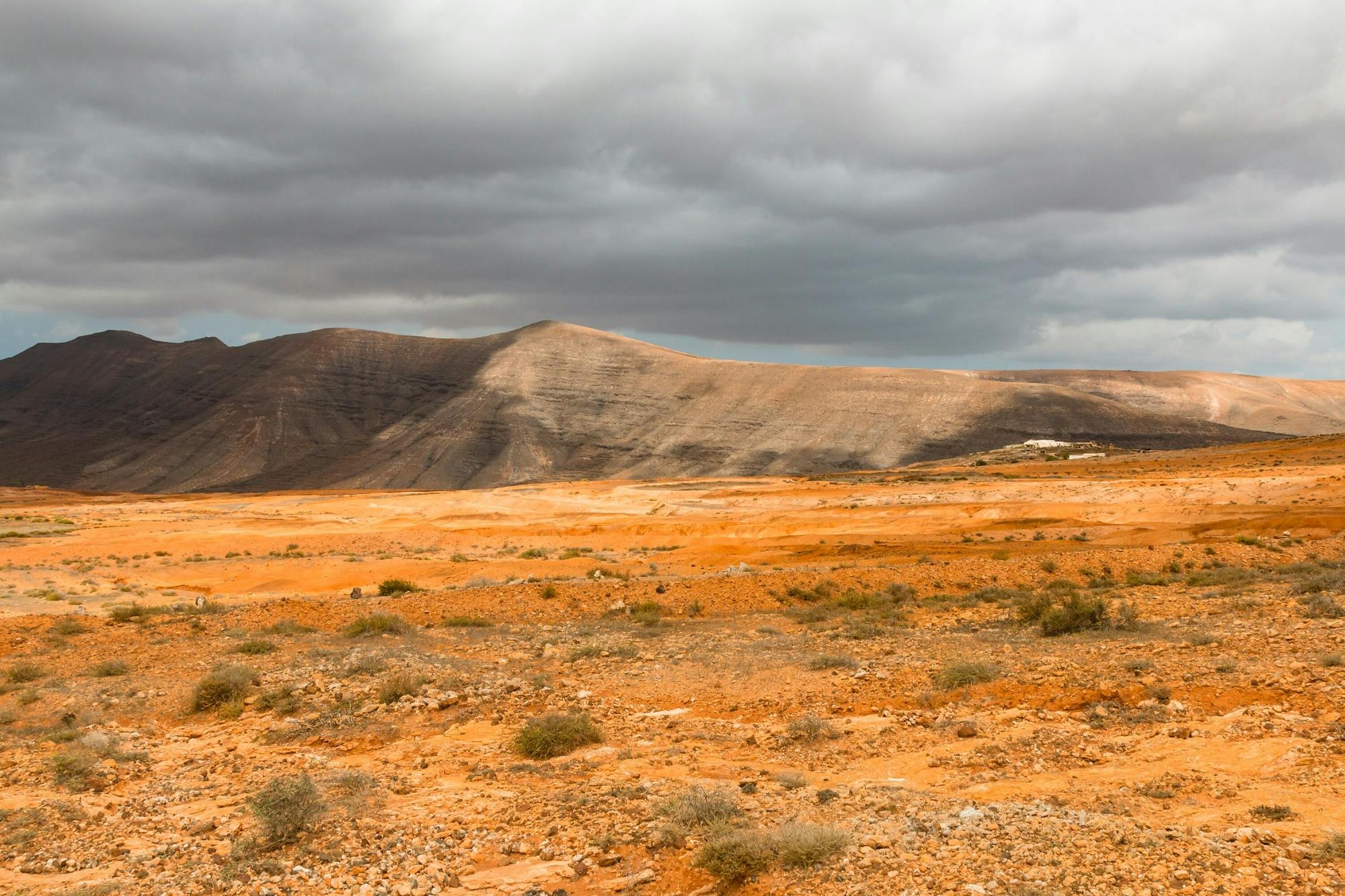 Small-group morning tour of northern Fuerteventura