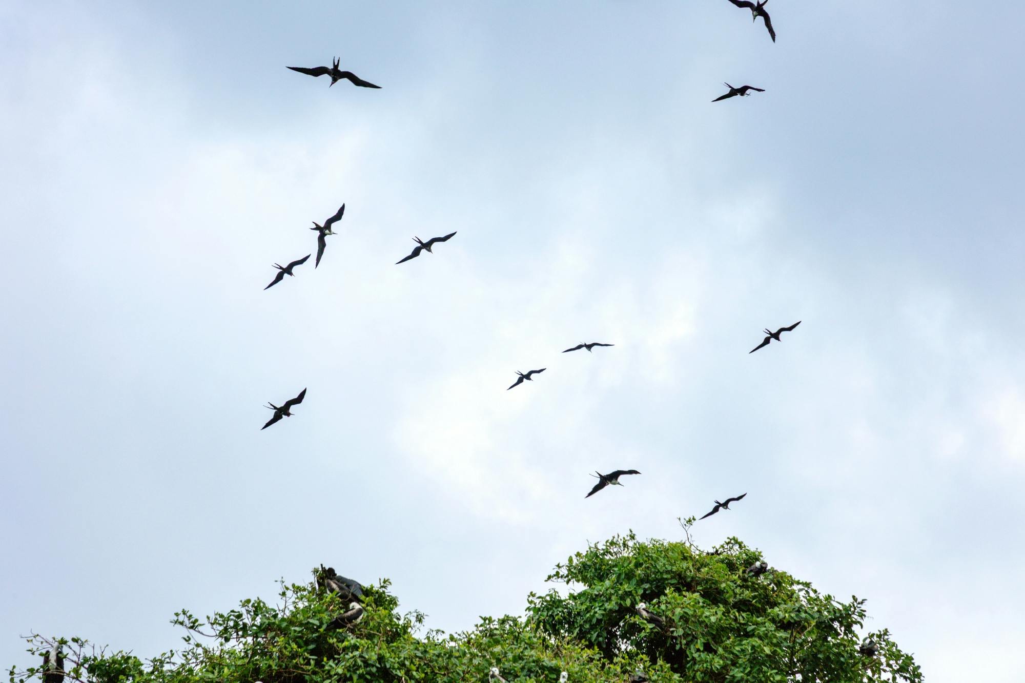 Los Haitises National Park full-day tour with beachside lunch