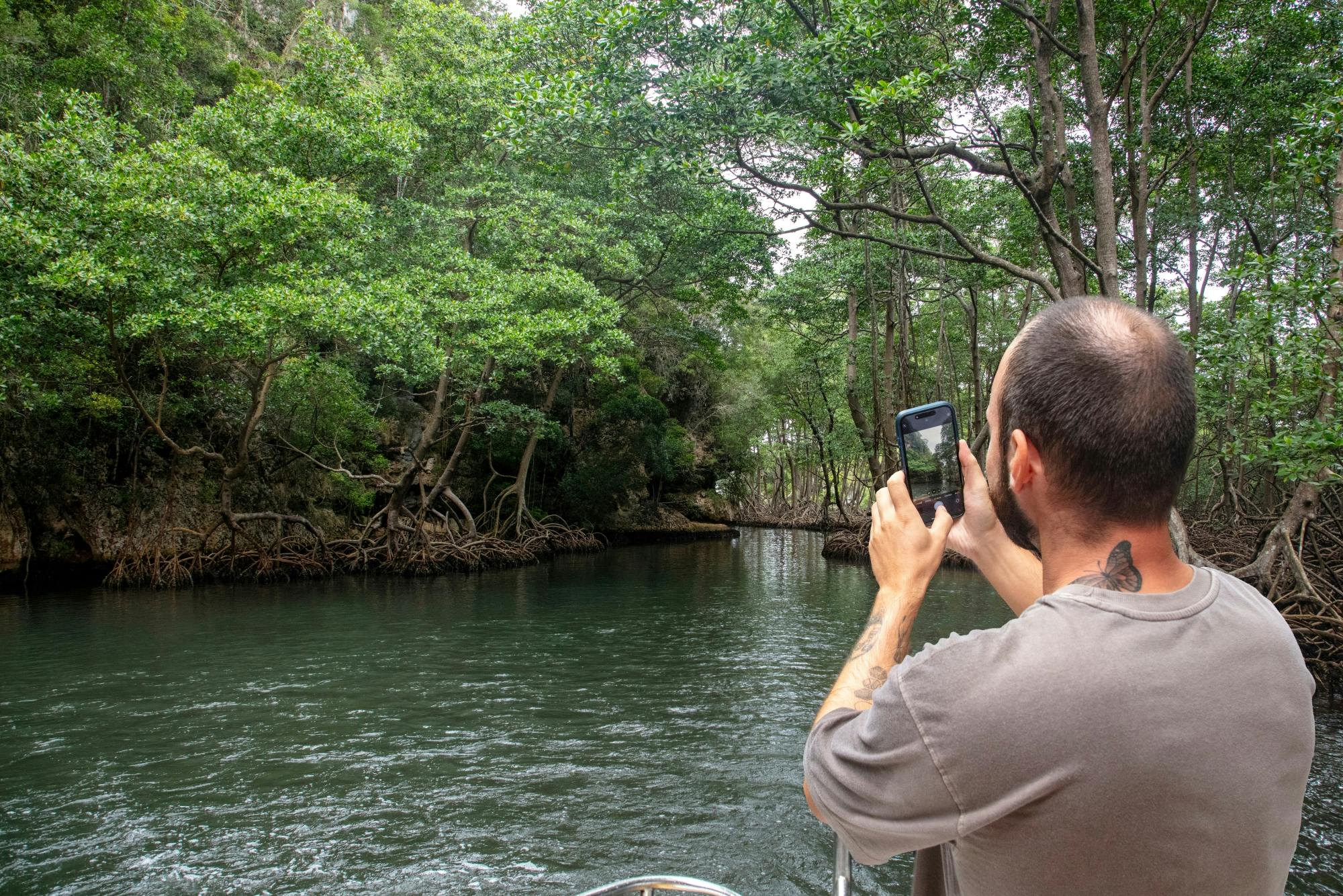 Los Haitises National Park full-day tour with beachside lunch